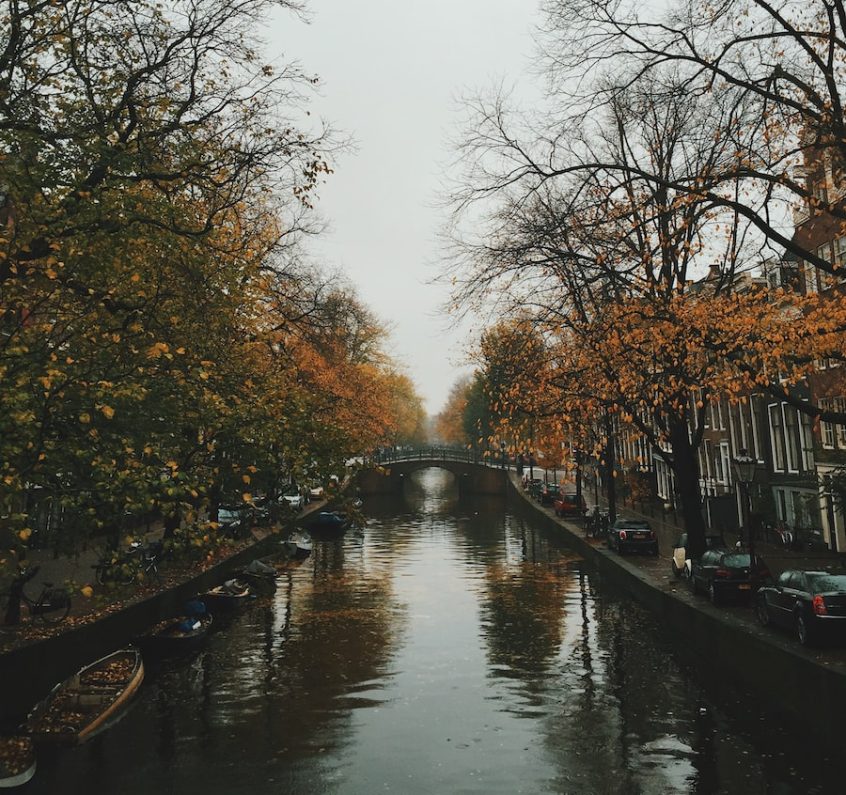 river with boats near trees